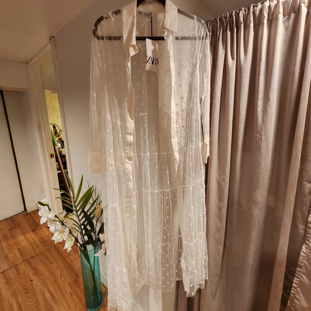 Zara Sheer Tulle Dot Dress